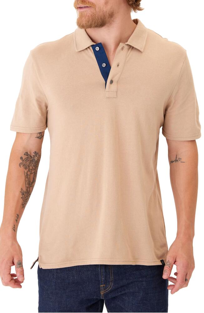 Threads 4 Thought Ashton Classic Polo in Chai Cover