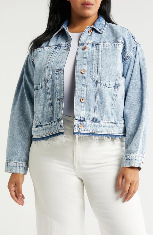 Marina Rinaldi Fosca Fray Hem Denim Trucker Jacket in Cornflower Cover