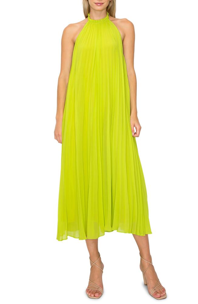 MELLODAY Pleated Halter Midi Dress in Chartreuse Cover