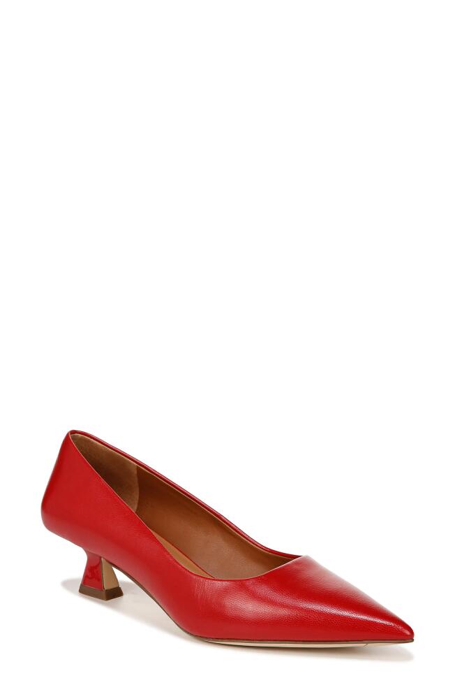 SARTO by Franco Sarto Diva Kitten Heel Pointed Toe Pump in Red Cover