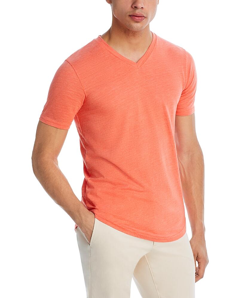 Goodlife Triblend Scallop Short Sleeve V-neck Tee Cover