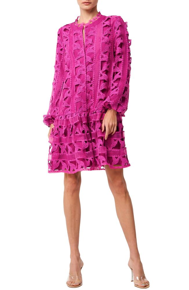 CIEBON Wylla Humbird Lace & Organza Drop Waist Dress in Hot Pink Cover