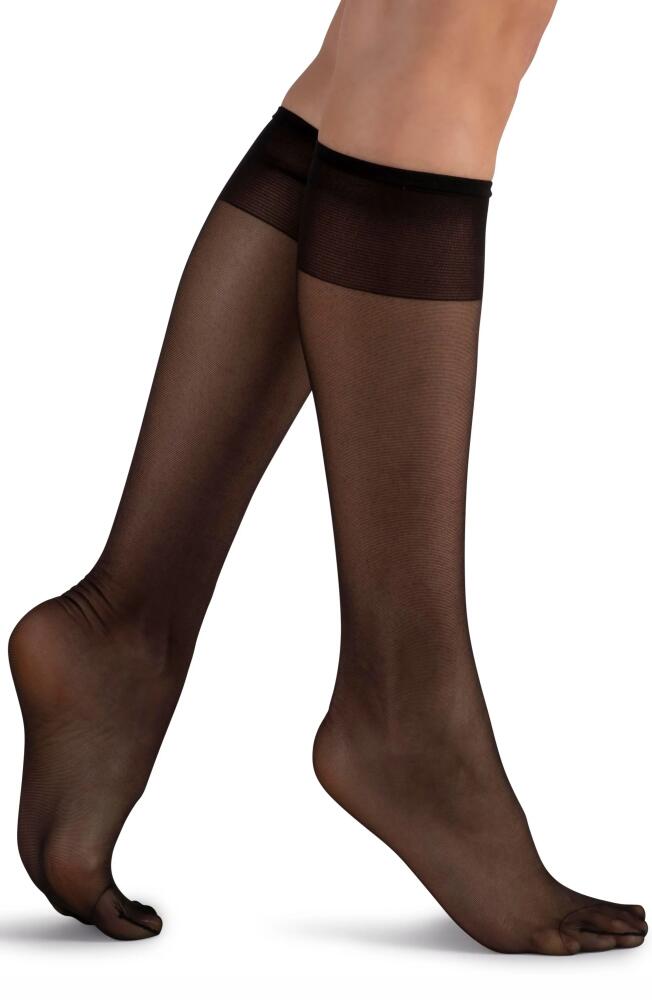 LECHERY® 2-Pack Matte Silky Sheer 20 Knee High Socks in Black Cover