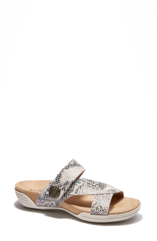 Hälsa Footwear Desiree Sandal in Beige/Silver Cover