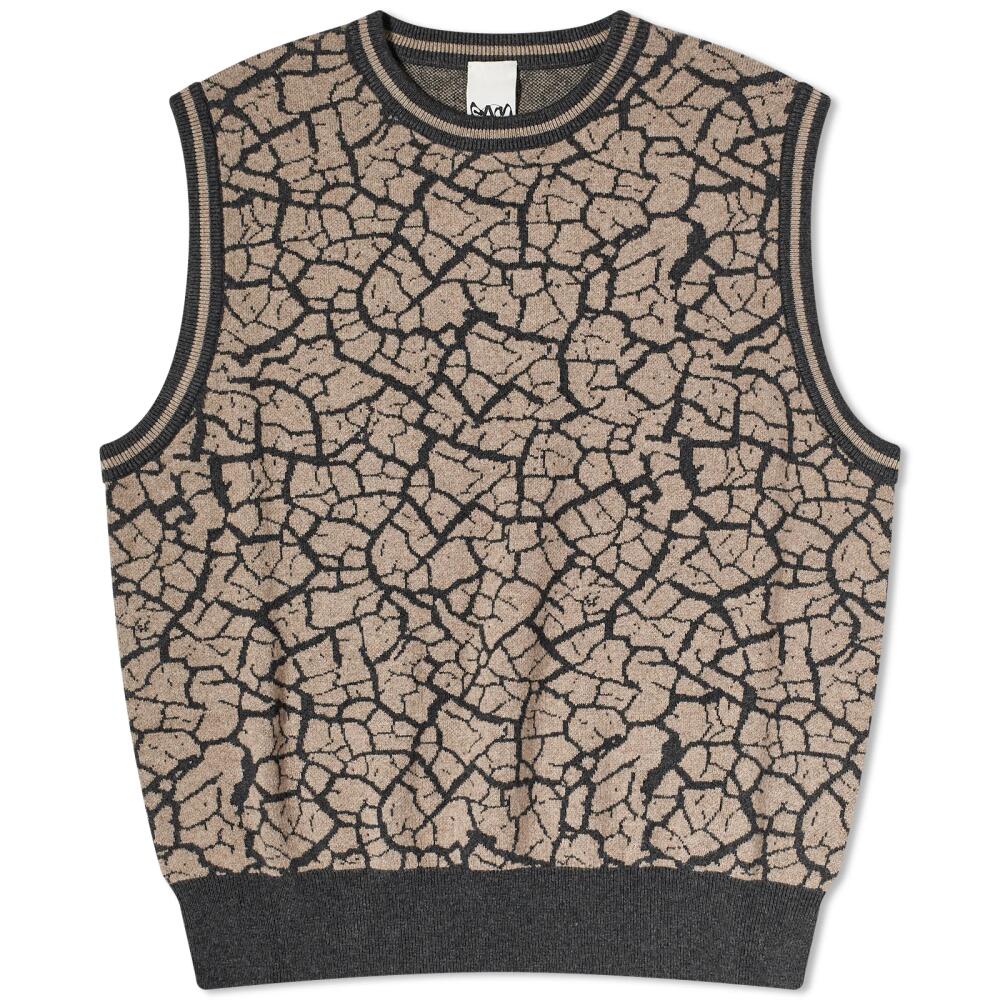 P.A.M. Men's Mudcrack Knitted Vest in Taupe Cover