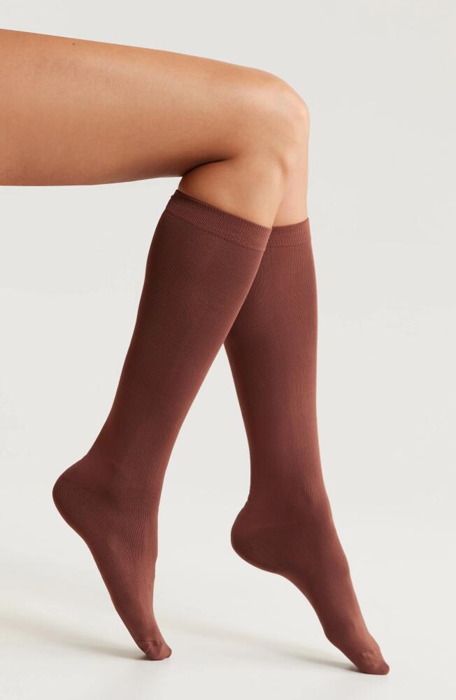 Nordstrom Opaque Knee High Socks in Brown Brunette Cover