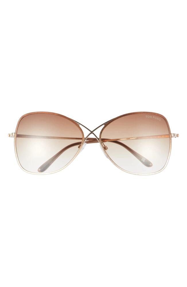 TOM FORD Colette 63mm Oversized Sunglasses in Shiny Rose Gold/Dark Brown Cover