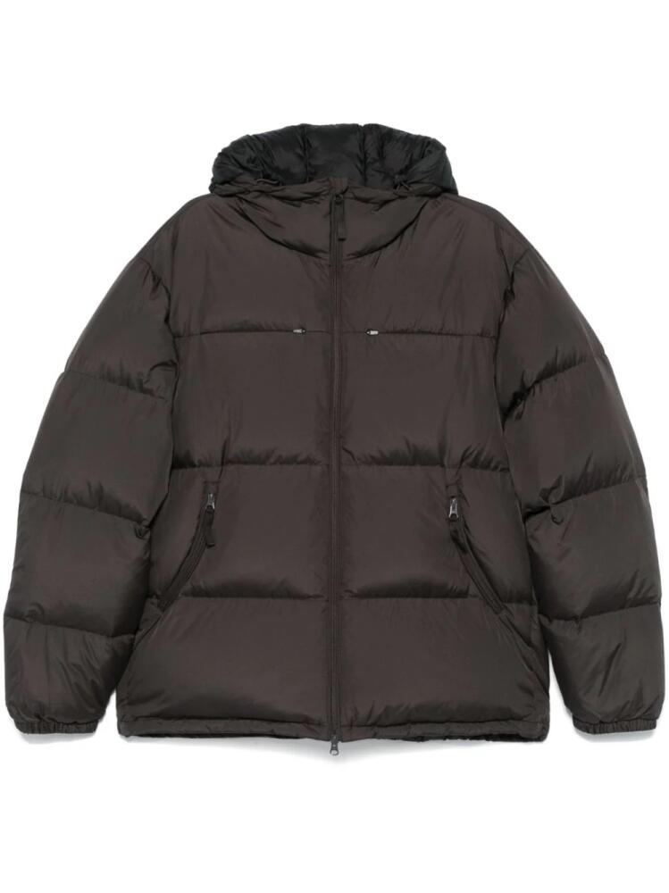 Hiking Patrol padded jacket - Brown Cover