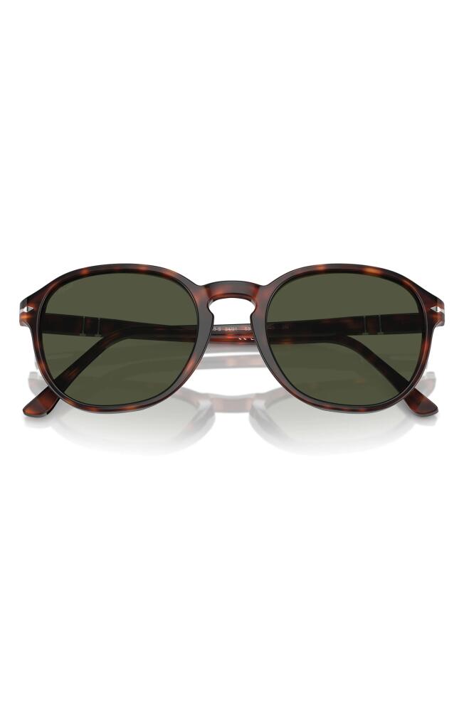 Persol 53mm Pillow Sunglasses in Havana Cover