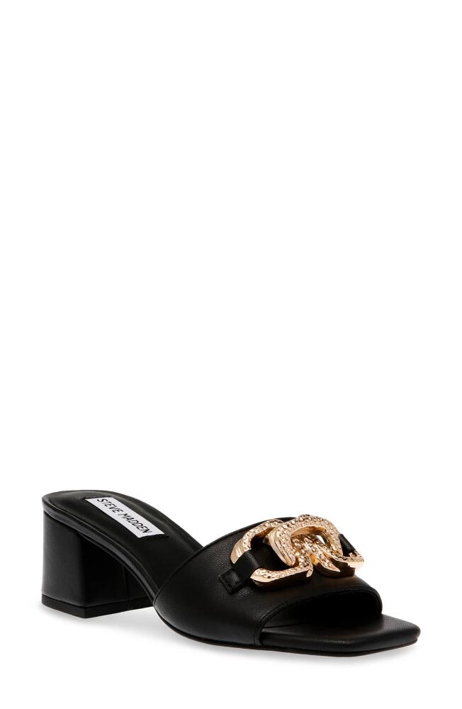 Steve Madden Santana Slide Sandal in Black Leather Cover