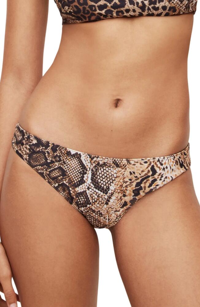 AllSaints Catriona Reversible Swim Bottoms in Leopard Print Cover