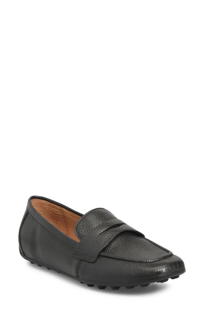 Söfft Allie Moc Toe Penny Loafer in Black Cover