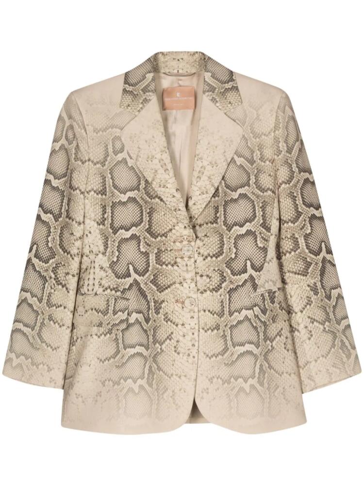 Ermanno Scervino snakeskin-print blazer - Yellow Cover