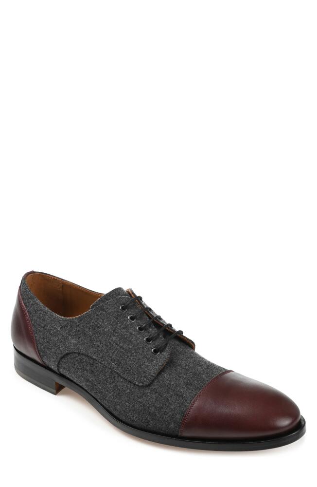 TAFT Jack Oxford in Grey/Oxblood Cover