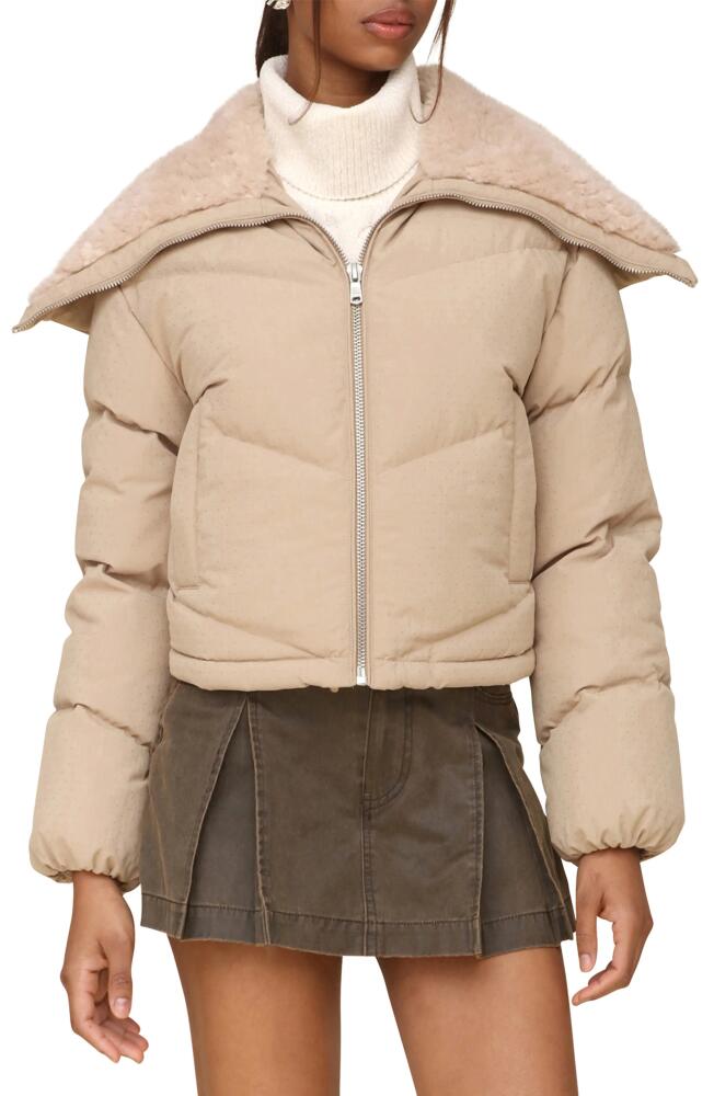 Avec Les Filles Faux Shearling Detail Puffer Jacket in Sand Dot Cover