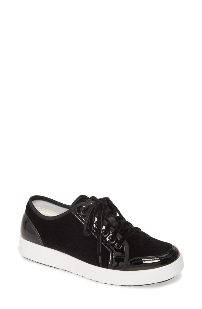 TRAQ by Alegria Alegria Lyriq Sneaker in Black Velvet Fabric Cover