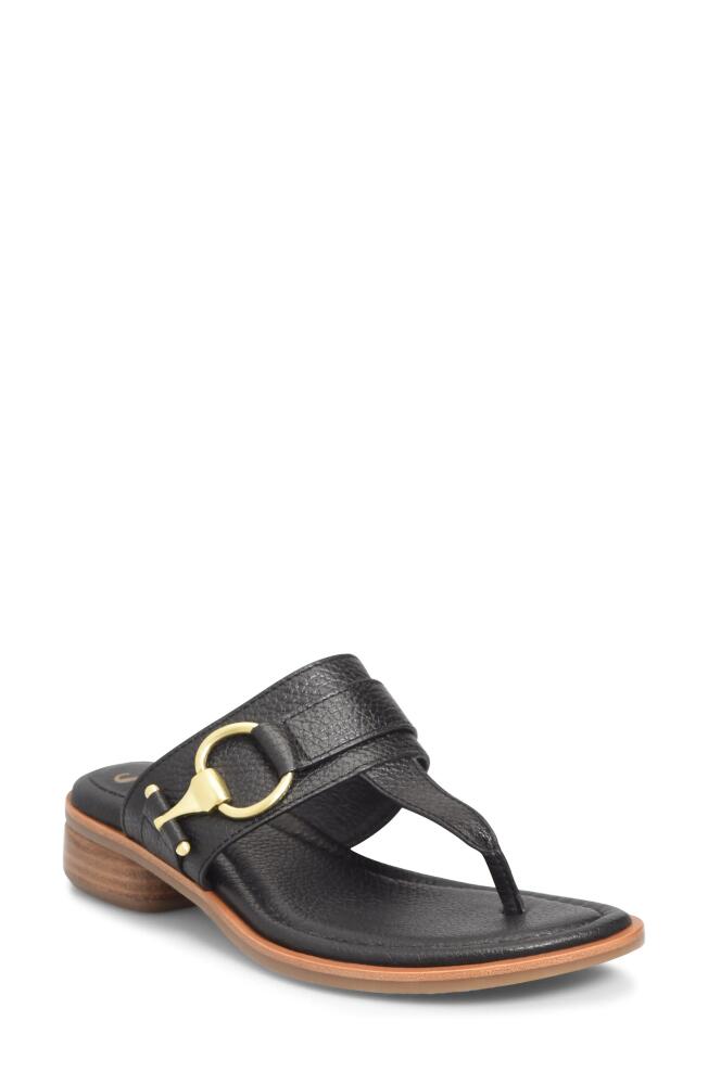 Söfft Fernanda Sandal in Black Cover