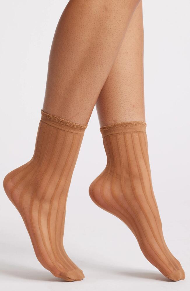 Nordstrom Sheer Stripe Ankle Socks in Tan Thrush Cover