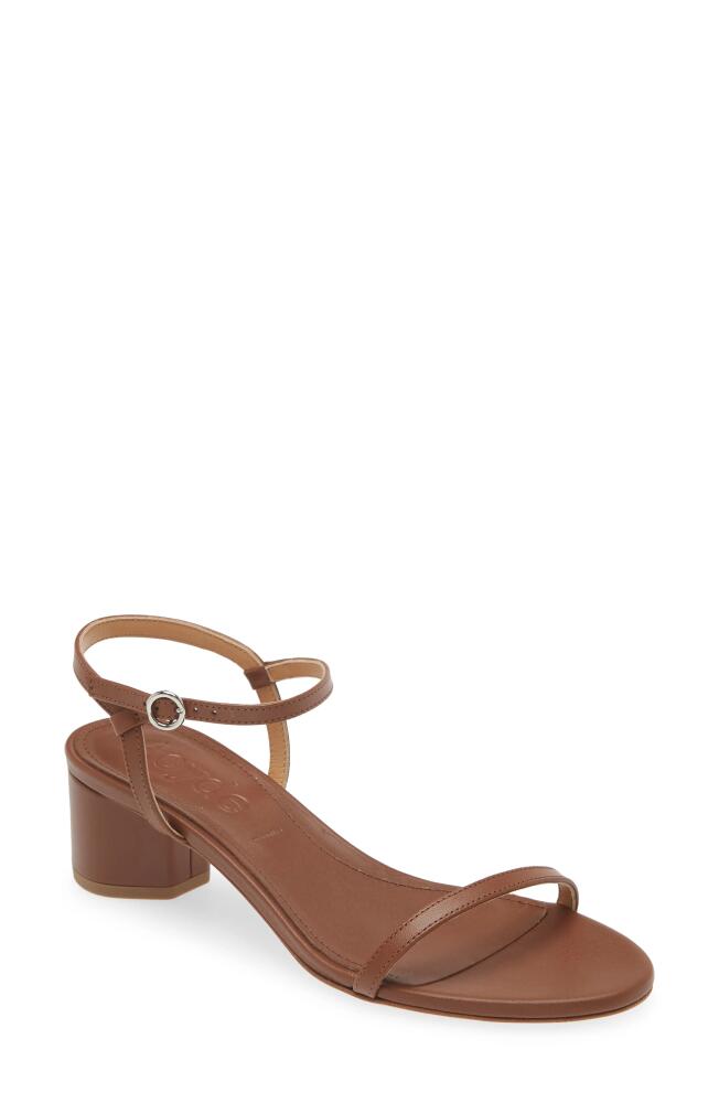 aeyde Immi Ankle Strap Sandal in Brown Cover