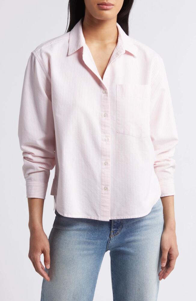 beachlunchlounge Long Sleeve Shirt in Pink Lip Gloss Cover