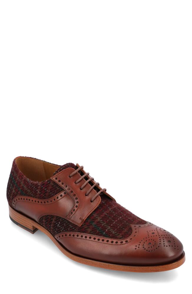 TAFT Wallace Wingtip Derby in Red Plaid Cover