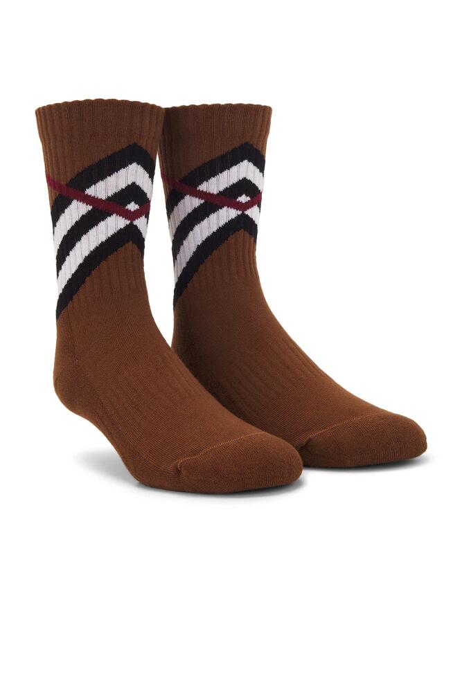 Burberry Chevron Sports Sock in Brown Cover