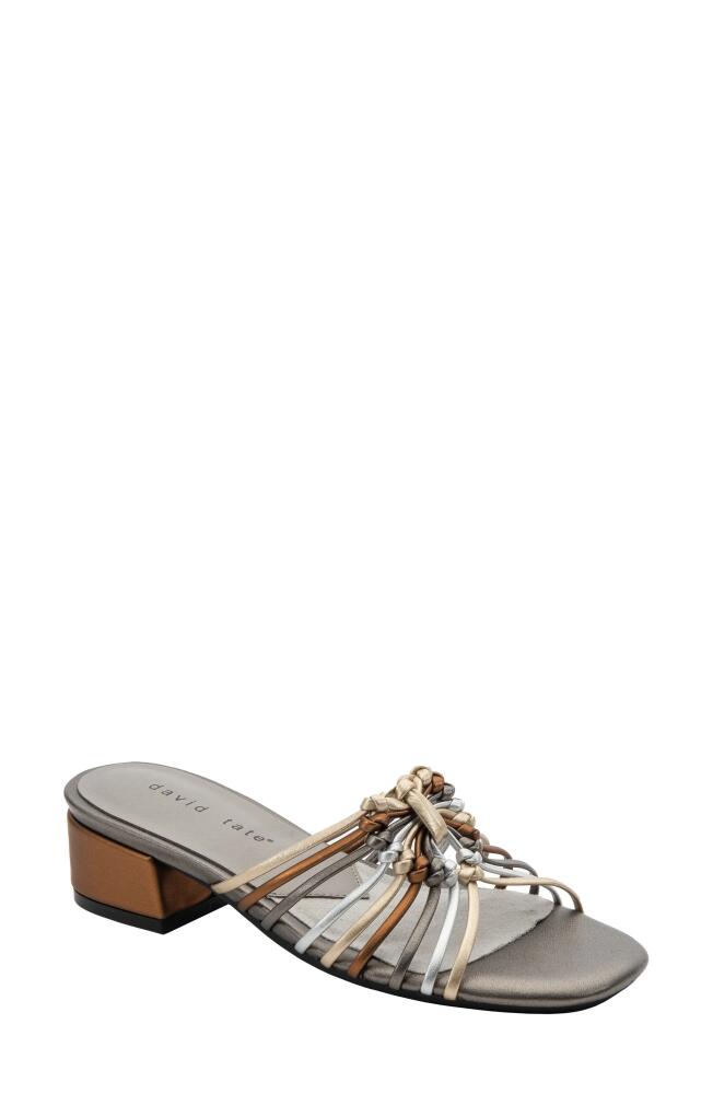 David Tate Excellent Strappy Slide Sandal in Metallic Multi Cover