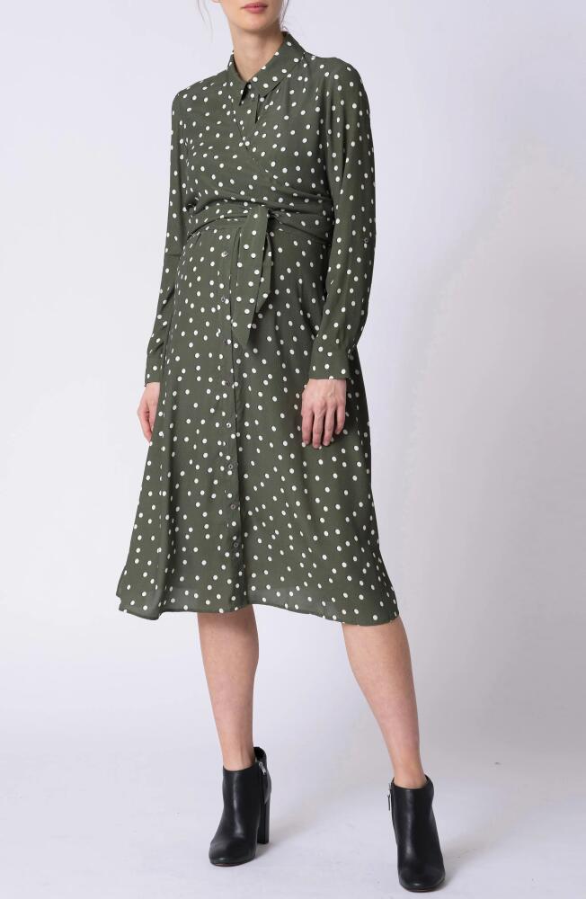 Seraphine Polka Dot Long Sleeve Maternity/Nursing Shirtdress in Khaki Cover