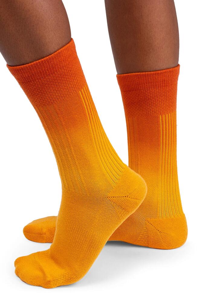 On All-Day Calf Socks in Mango/Spice Cover