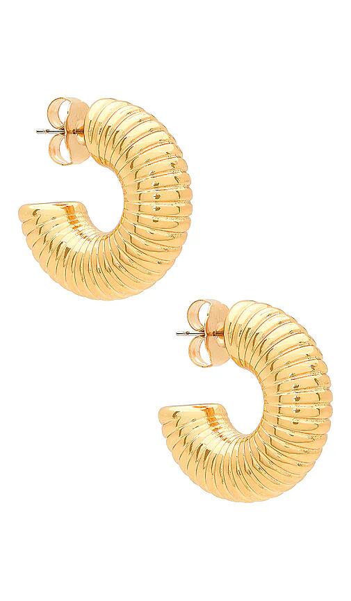 Brinker + Eliza Groove Hoops in Metallic Gold Cover