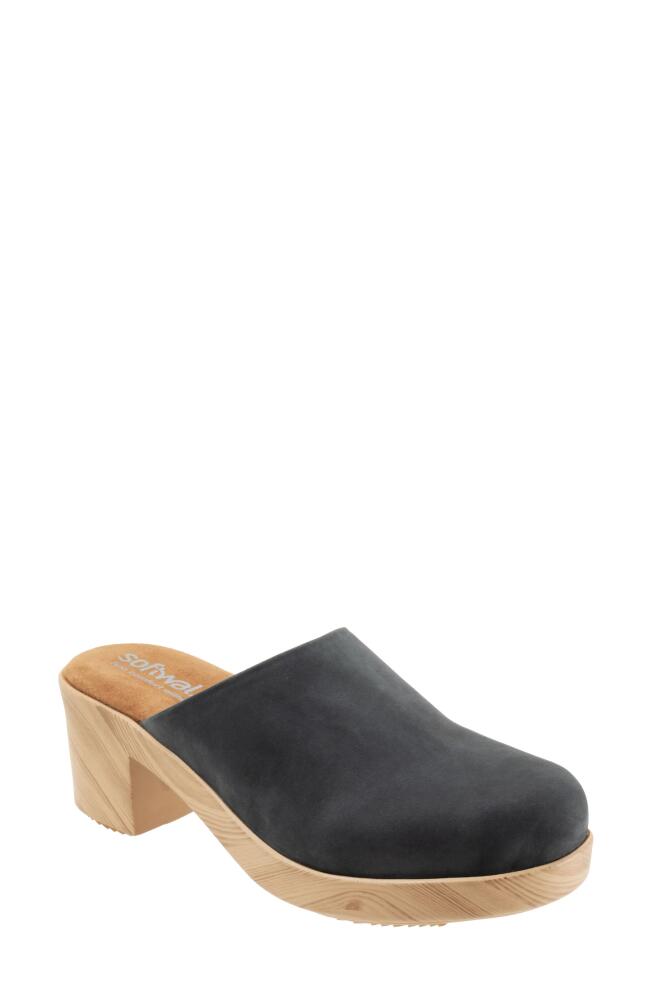 SoftWalk Felida Platform Mule in Navy Nubuck Cover