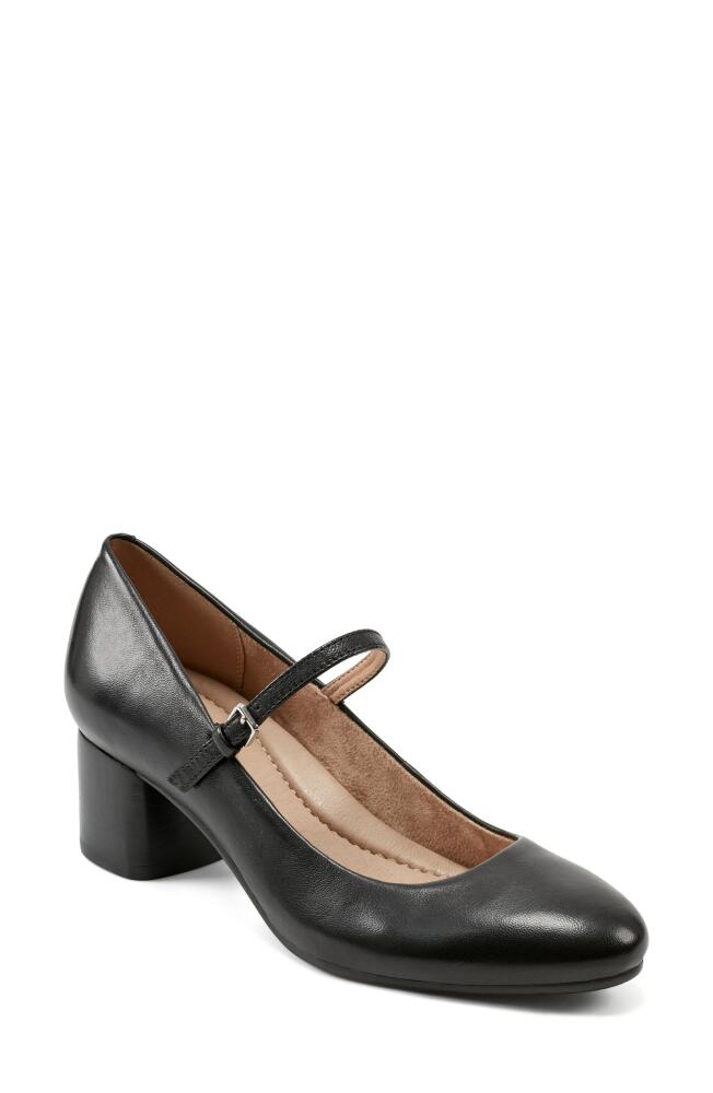 Earth® Rumer Mary Jane Pump in Black Cover