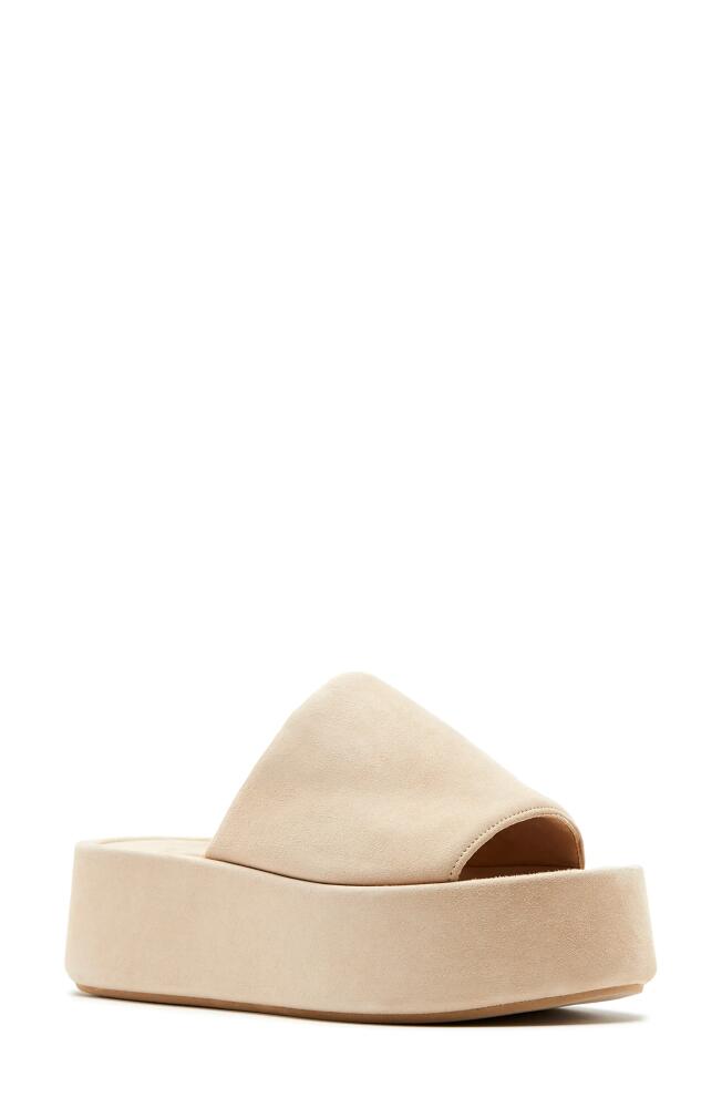 La Canadienne Kyrie Platform Slide Sandal in Sand Suede Cover