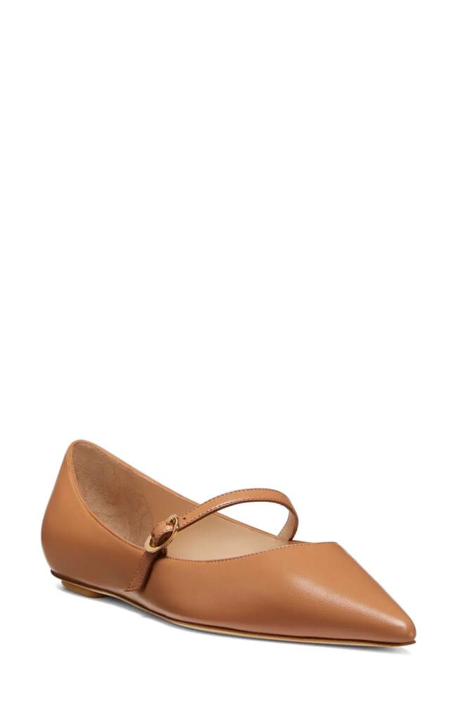 Stuart Weitzman Emilia Mary Jane Flat in Tan Cover