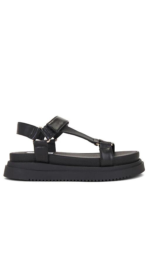 Steve Madden Matina Sandal in Black Cover