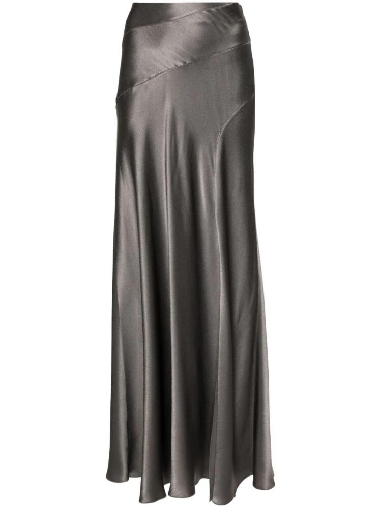 Alberta Ferretti satin maxi skirt - Grey Cover