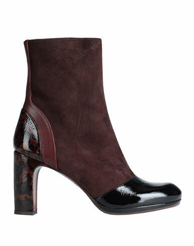 Chie Mihara Woman Ankle boots Cocoa Soft Leather Cover