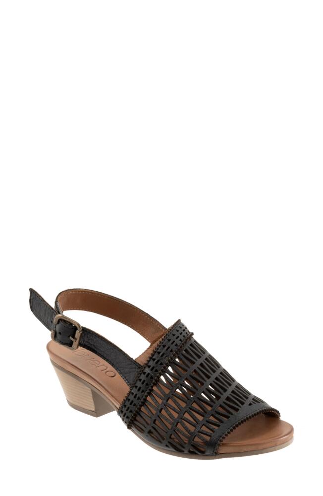 Bueno Lia Slingback Sandal in Black Cover