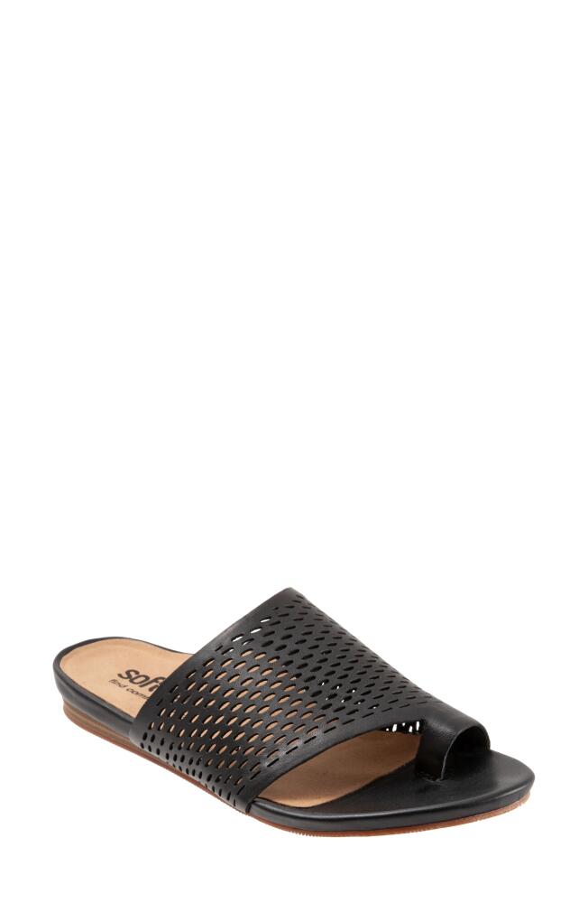 SoftWalk Corsica II Slide Sandal in Black Leather Cover