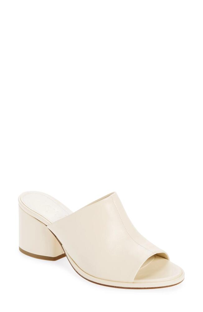 aeyde Amanda Slide Sandal in Creamy Cover