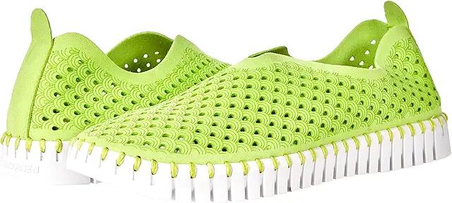 Ilse Jacobsen Tulip 139 (Lime) Women's Slip on Shoes Cover