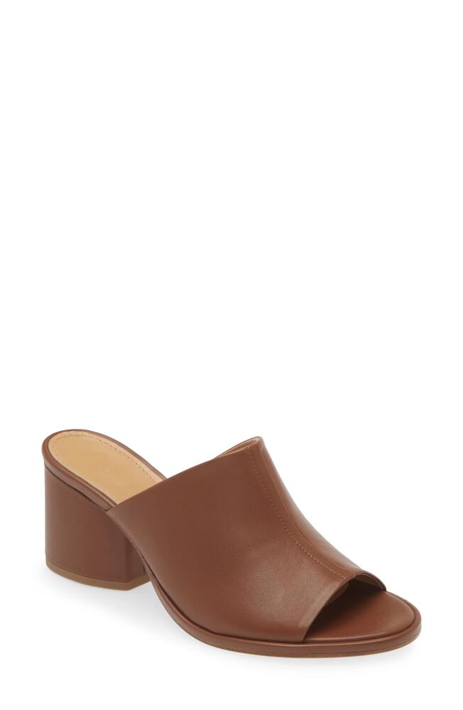 aeyde Amanda Slide Sandal in Brown Cover