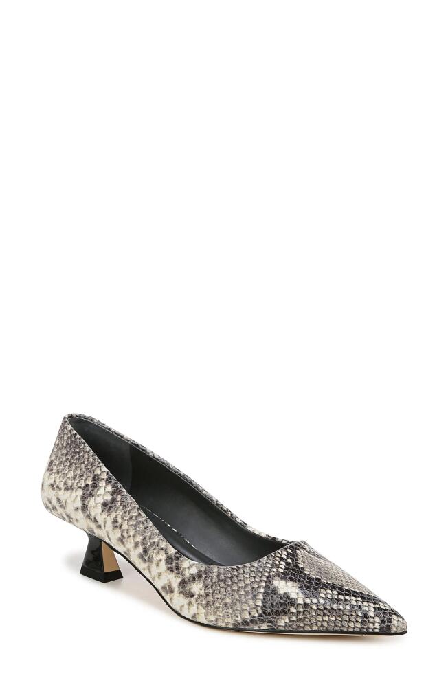 SARTO by Franco Sarto Diva Pointed Toe Kitten Heel Pump in Grey Cover