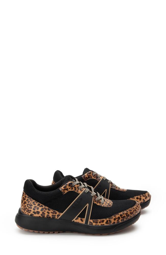 TRAQ by Alegria Qarma 2 Sneaker in Fierce Fabric Cover