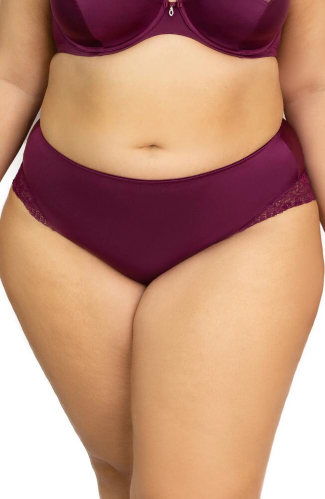 Curvy Couture Tulip Lace Trim Briefs in Purple Velvet Cover