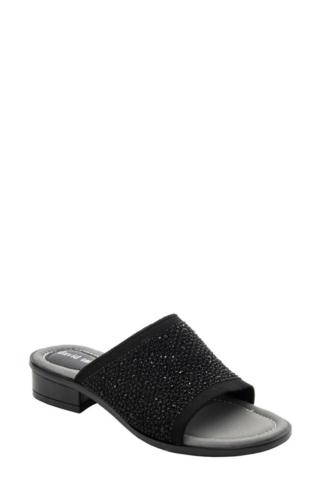 David Tate Premium Slide Sandal in Black Cover