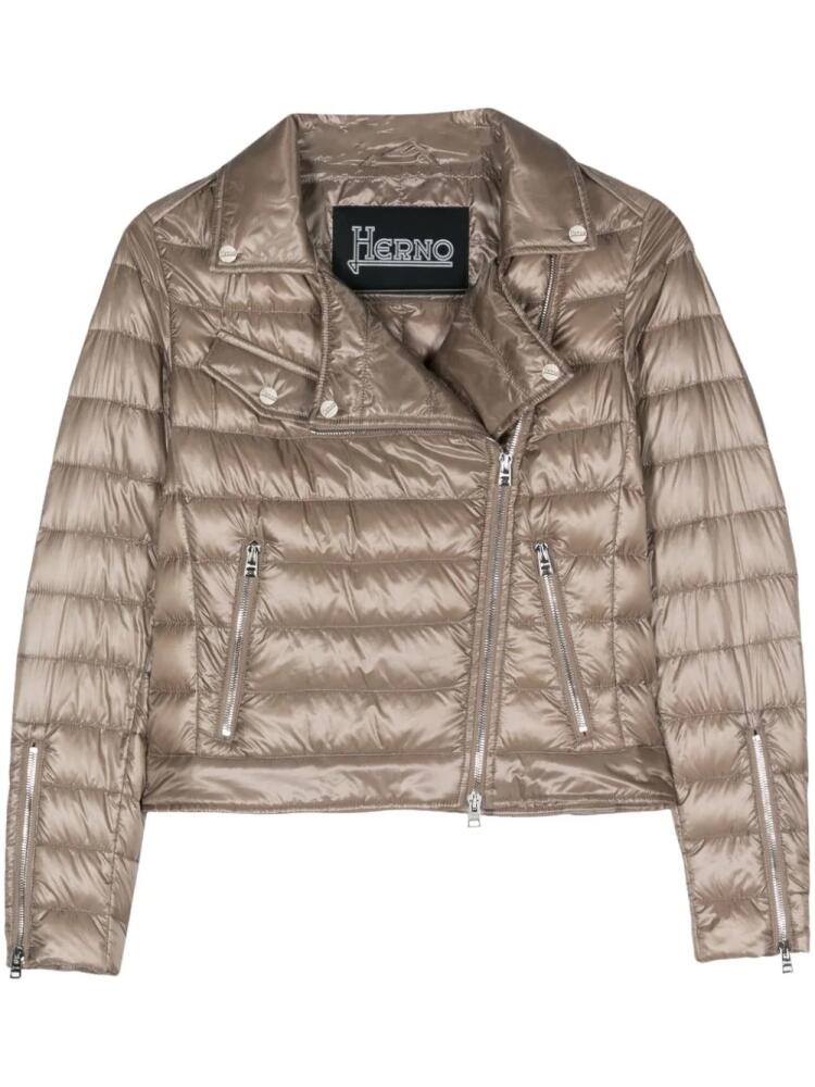 Herno padded quilted jacket - Brown Cover