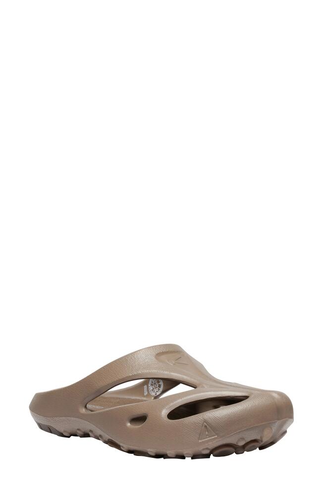 KEEN Shanti Slide Sandal in Dark Mocha Cover