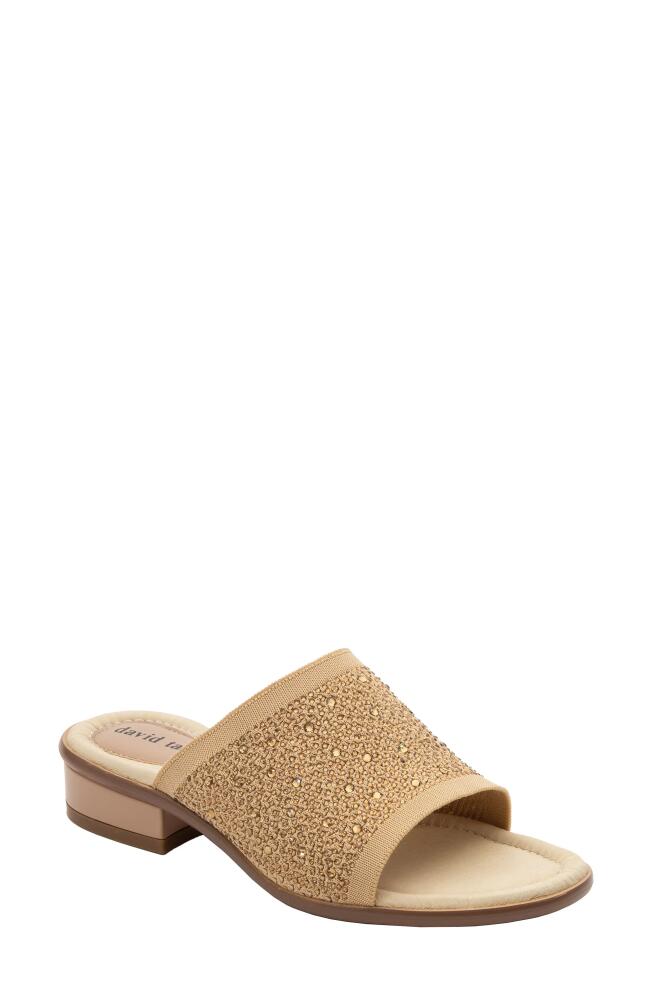 David Tate Premium Slide Sandal in Champagne Cover