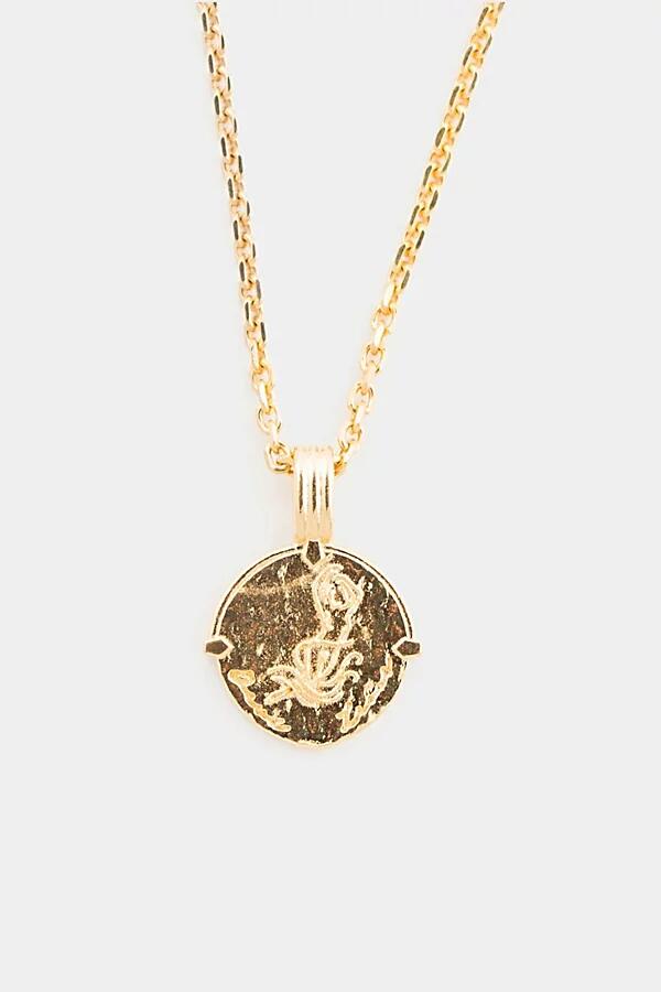 Deux Lions Jewelry Gold Zodiac Necklace in Capricorn Cover